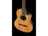 Ovation Pro Series Classic 1773AX-4-G Ovation Pro Series Classic 1773AX-4-G